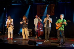 Absinto Orkestra, am 15.2.2025 im Pavillon der IG Kultur in Sindelfingen