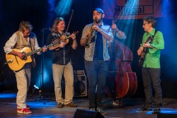 Absinto Orkestra, am 15.2.2025 im Pavillon der IG Kultur in Sindelfingen