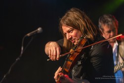 Absinto Orkestra, am 15.2.2025 im Pavillon der IG Kultur in Sindelfingen
