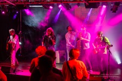Absinto Orkestra, am 15.2.2025 im Pavillon der IG Kultur in Sindelfingen