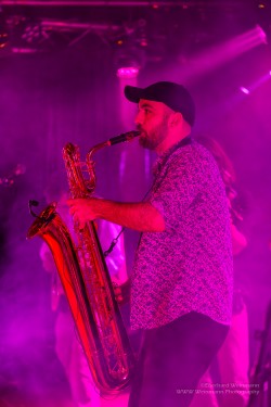 Absinto Orkestra, am 15.2.2025 im Pavillon der IG Kultur in Sindelfingen