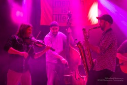 Absinto Orkestra, am 15.2.2025 im Pavillon der IG Kultur in Sindelfingen