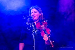 Absinto Orkestra, am 15.2.2025 im Pavillon der IG Kultur in Sindelfingen